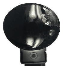 G16856118