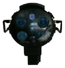 G16856120