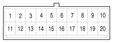 G16856206