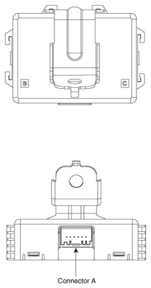 G16856231