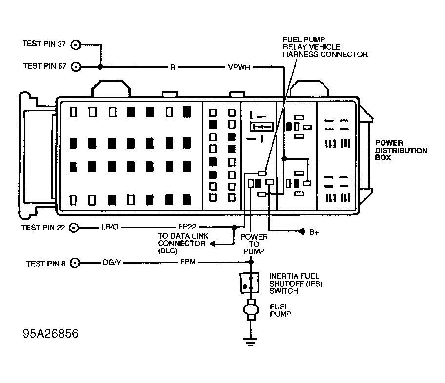 G95A26856