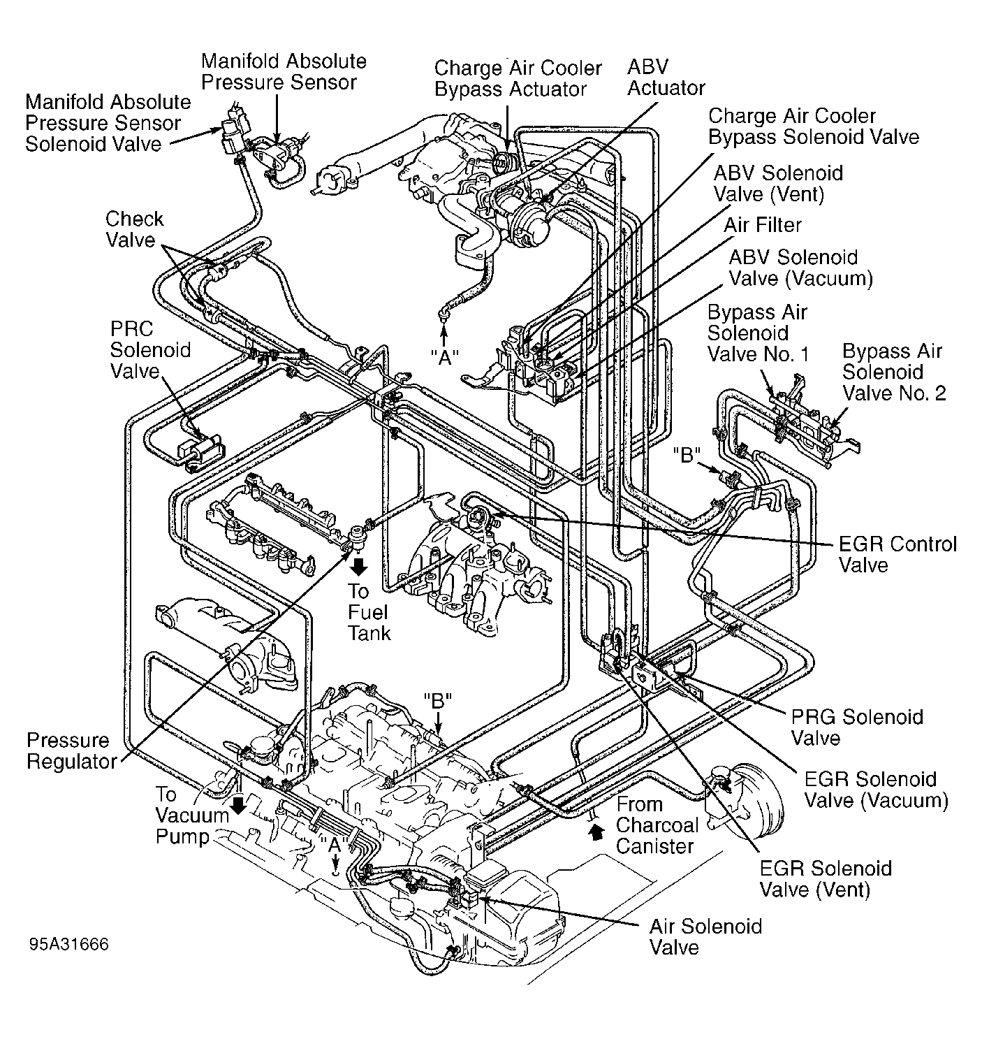 G95A31666