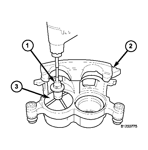 GC0006269