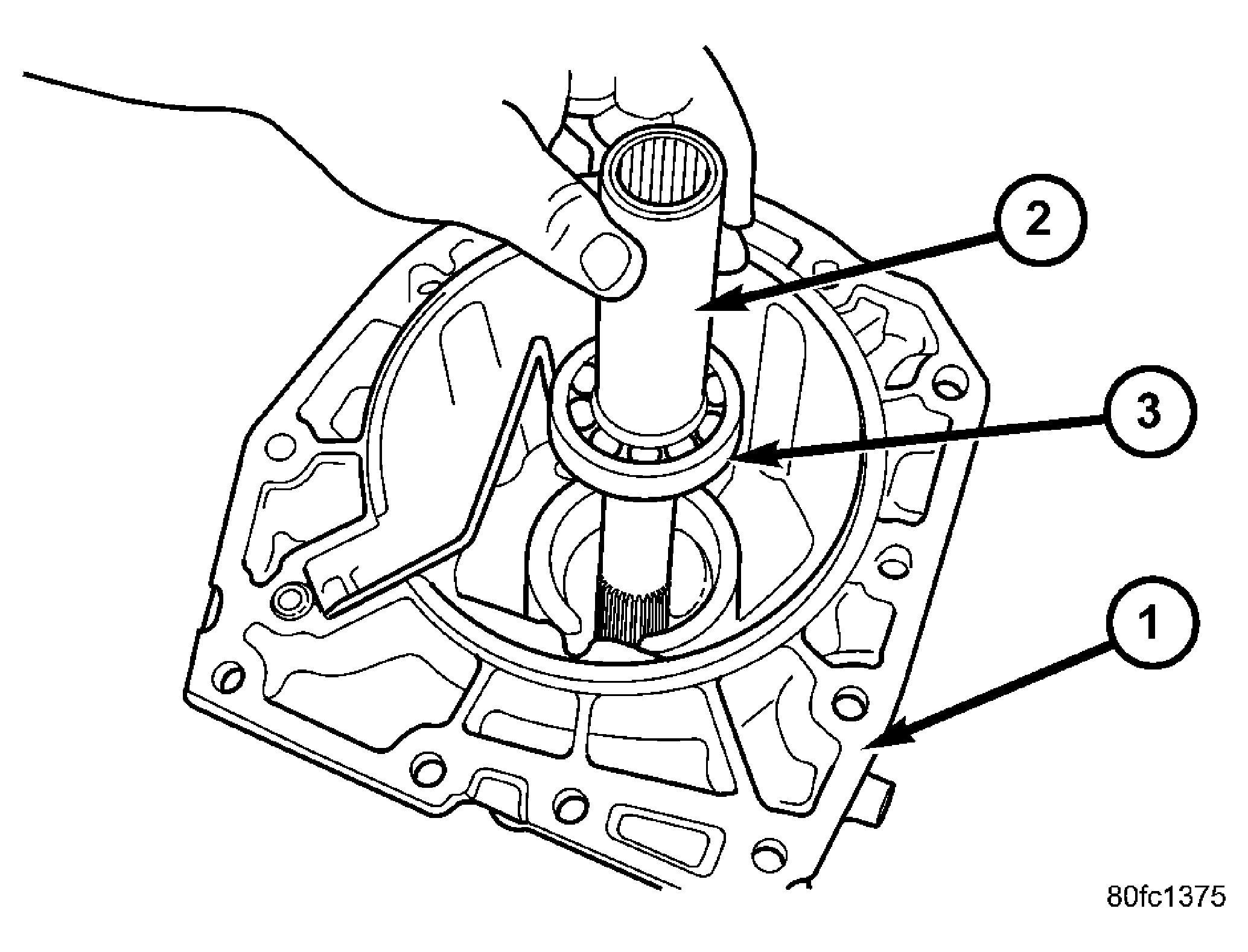 GC0009516