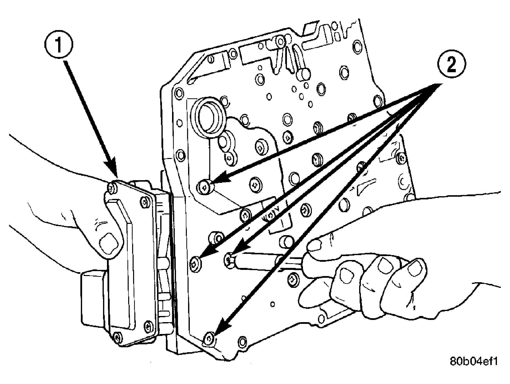 GC0009592