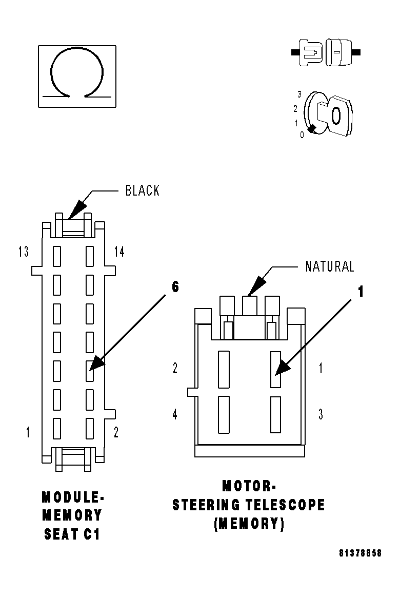 GC0013198