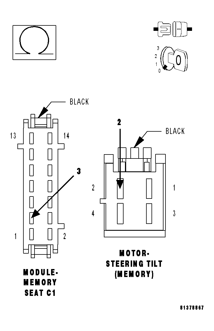 GC0013206