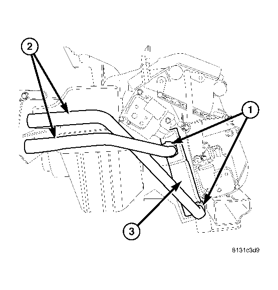 GC0013955