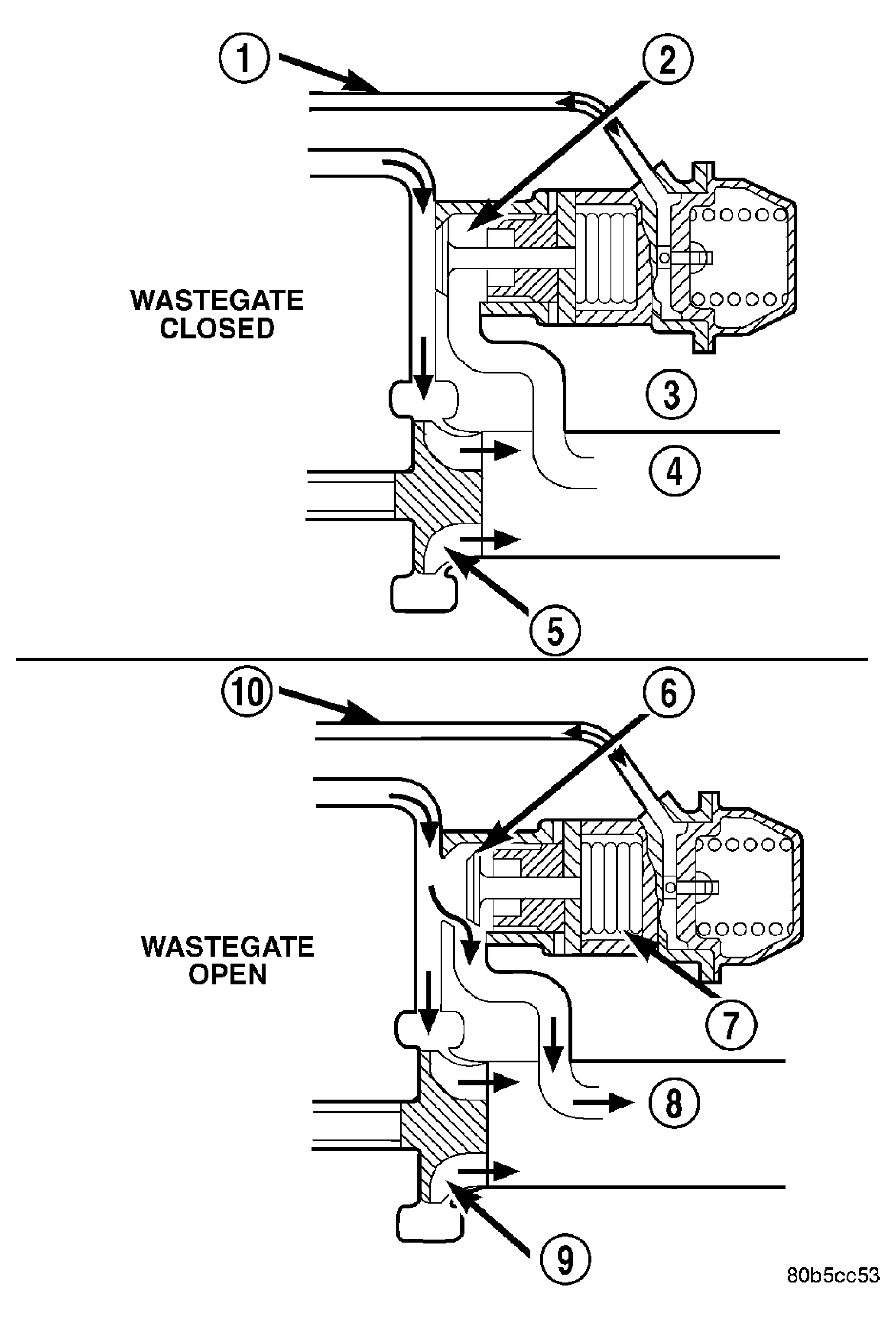 GC0019342