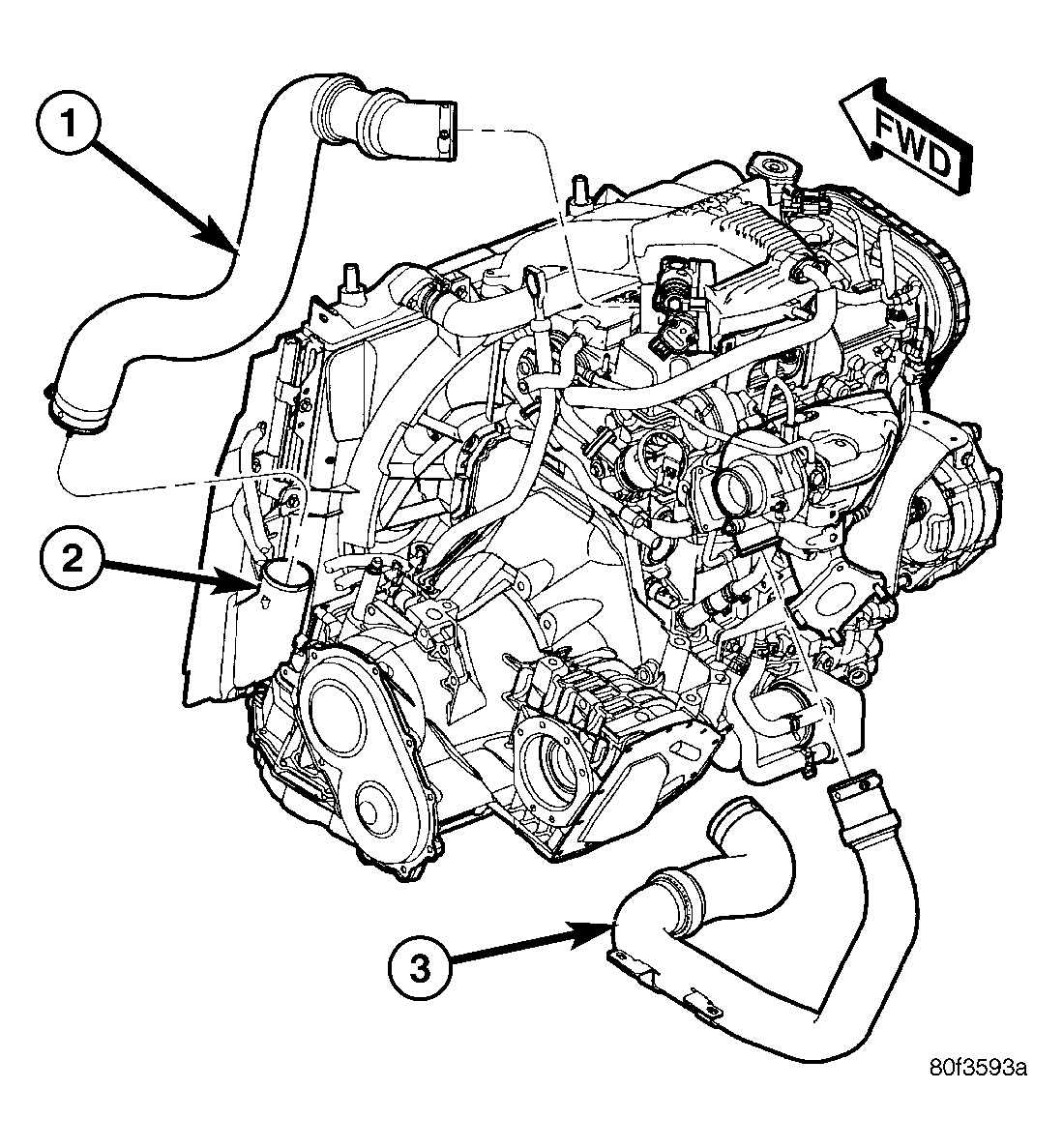 GC0019344