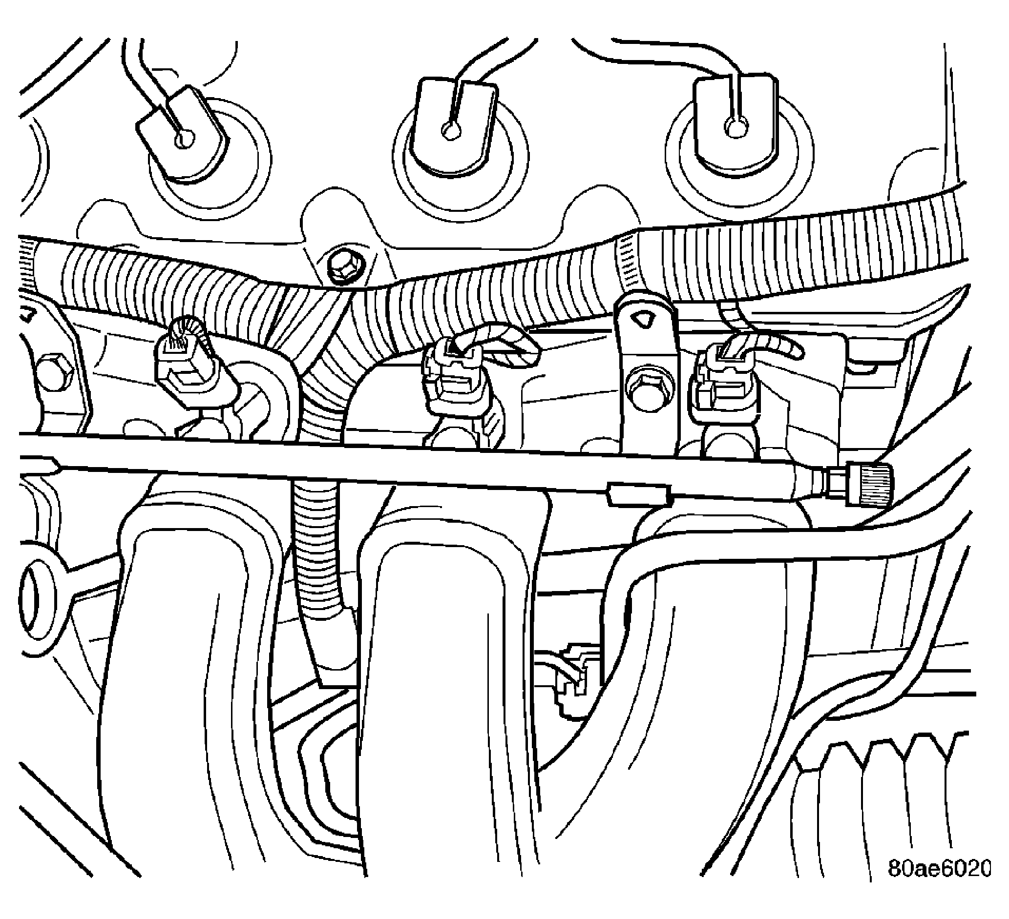 GC0019420