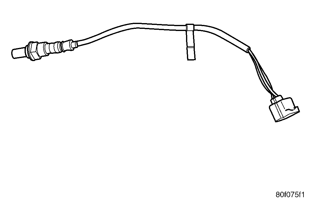 GC0019486