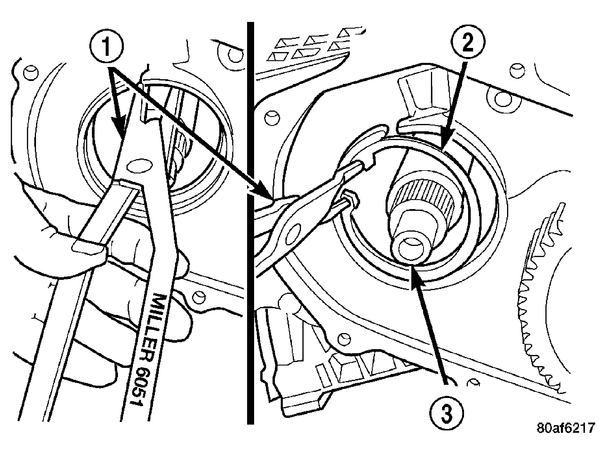 GC0020509