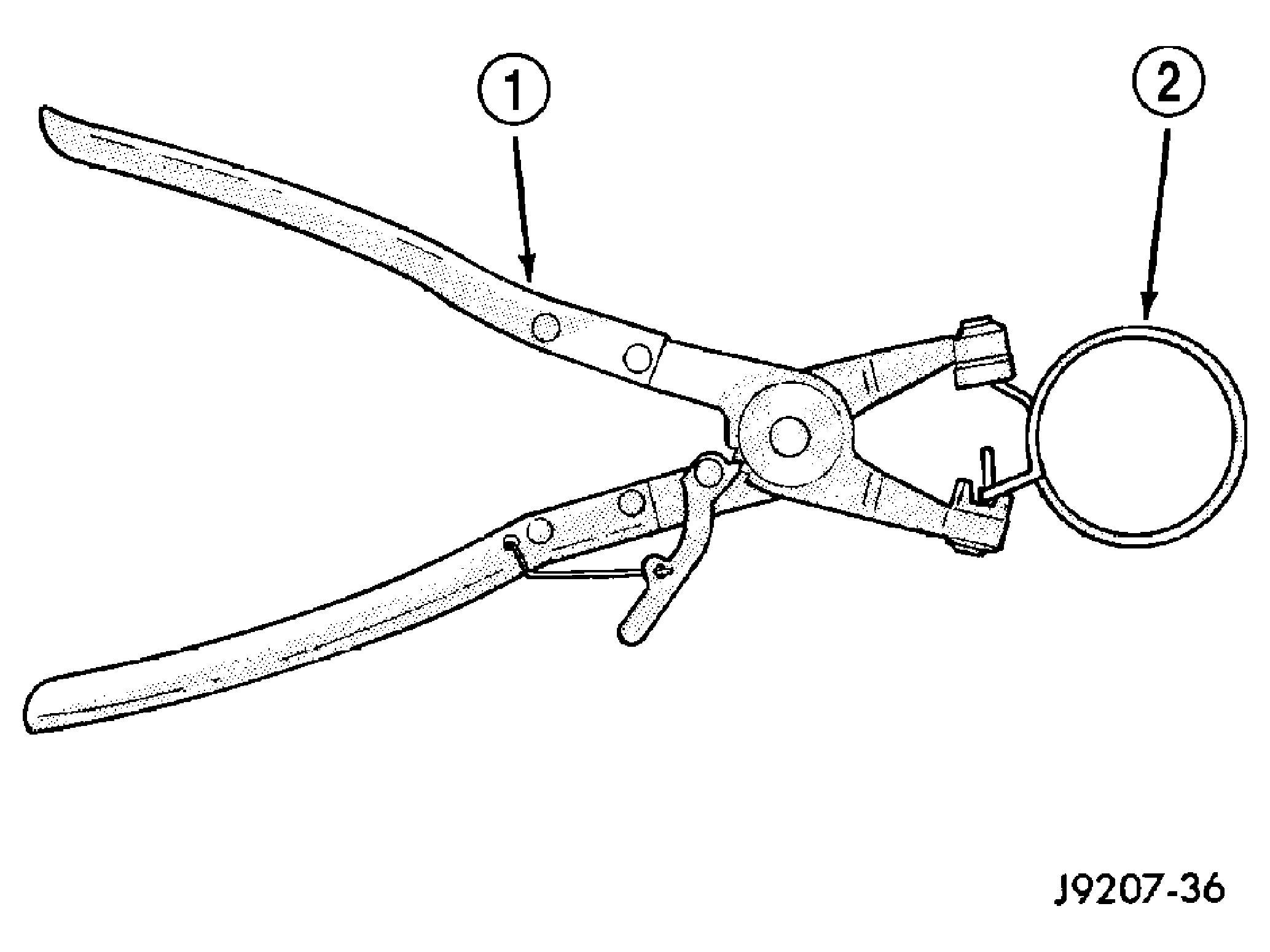 GC0021804