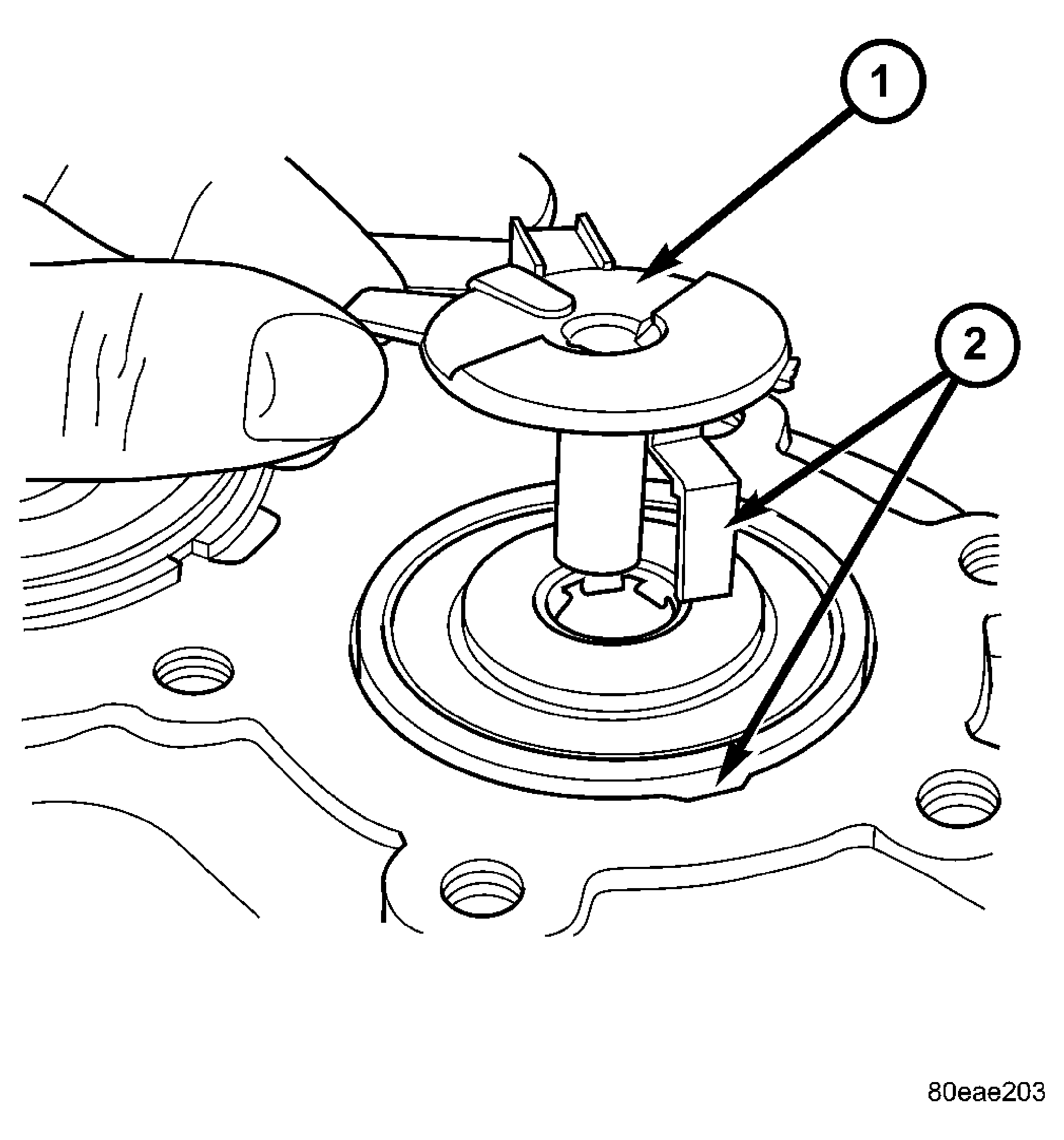 GC0022036