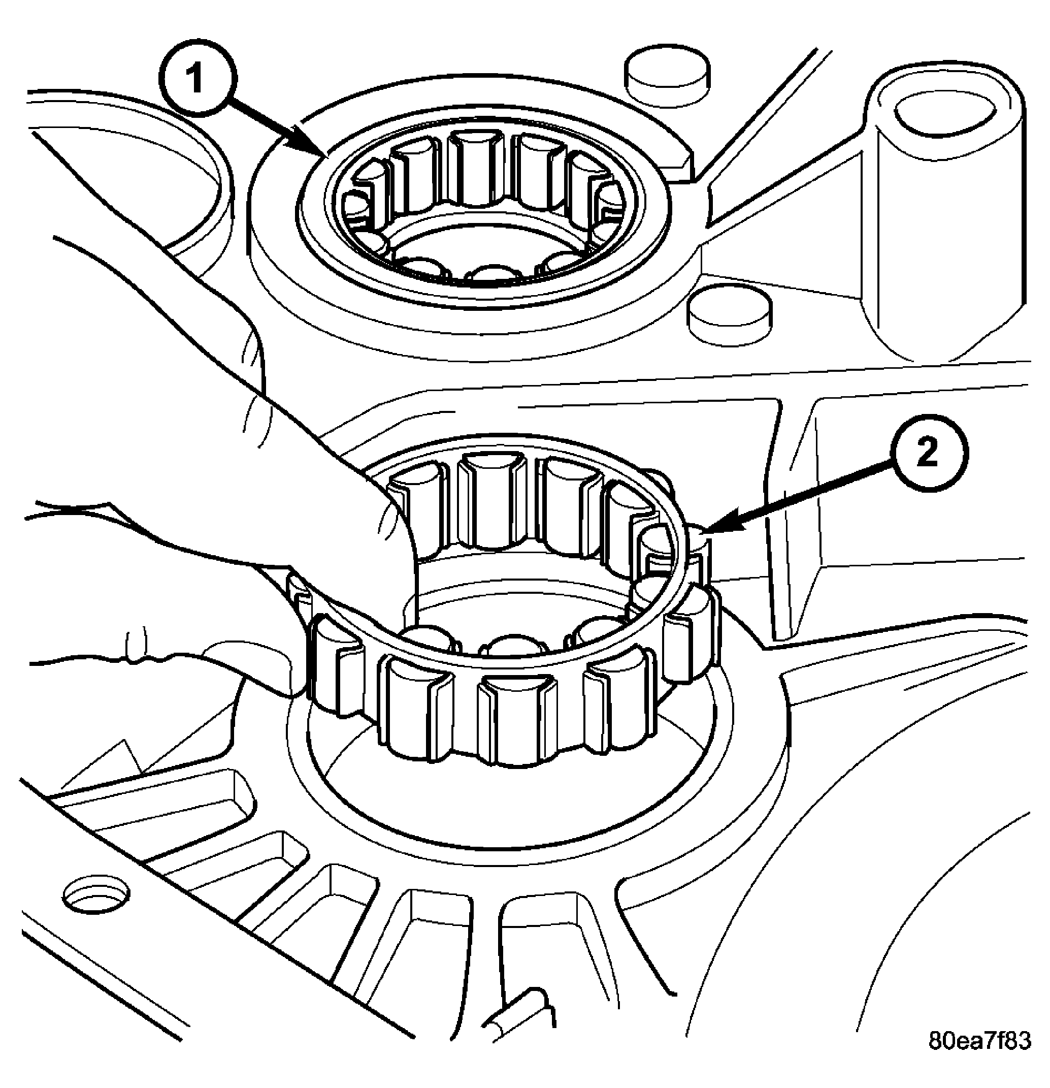 GC0022065