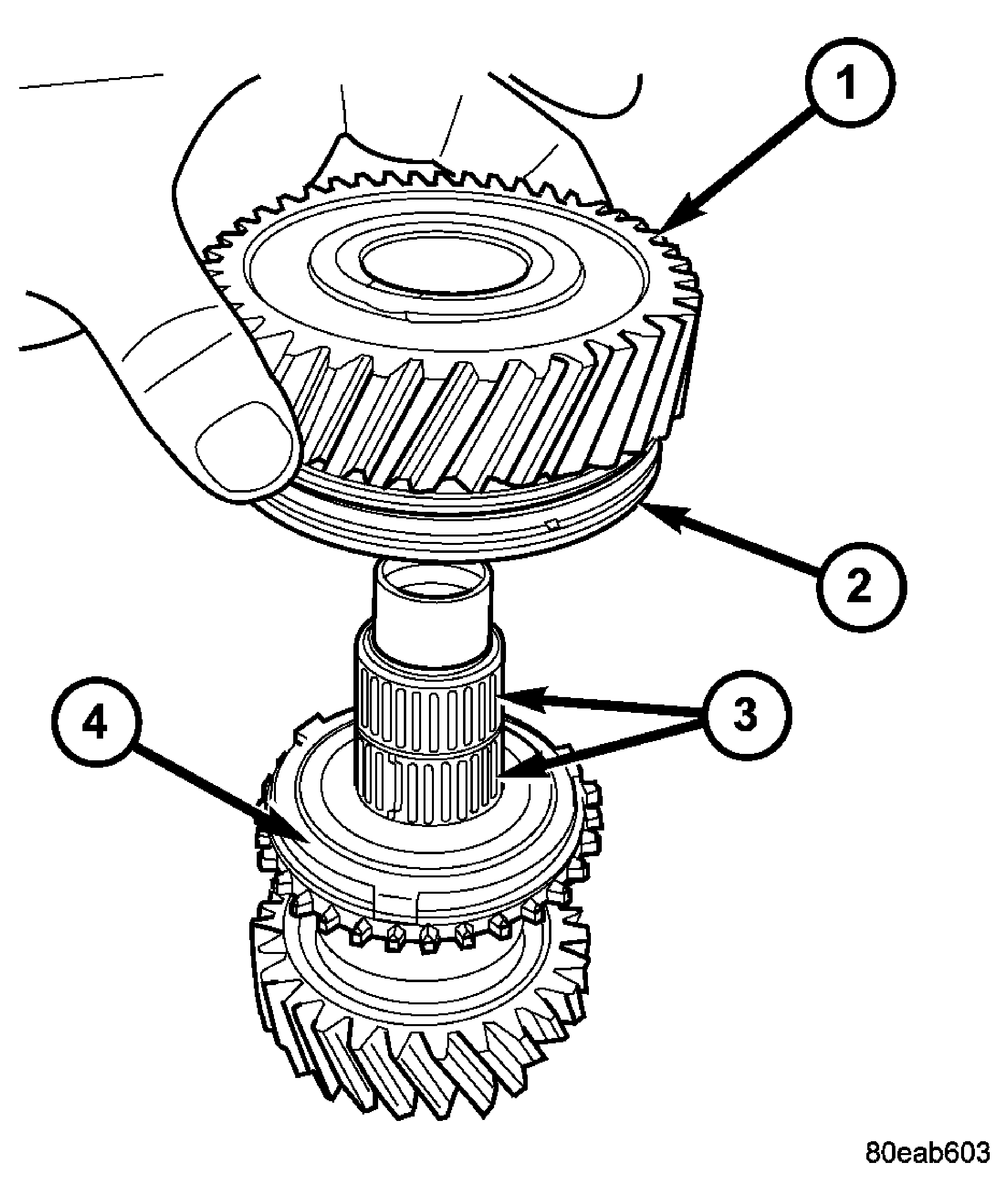 GC0022205