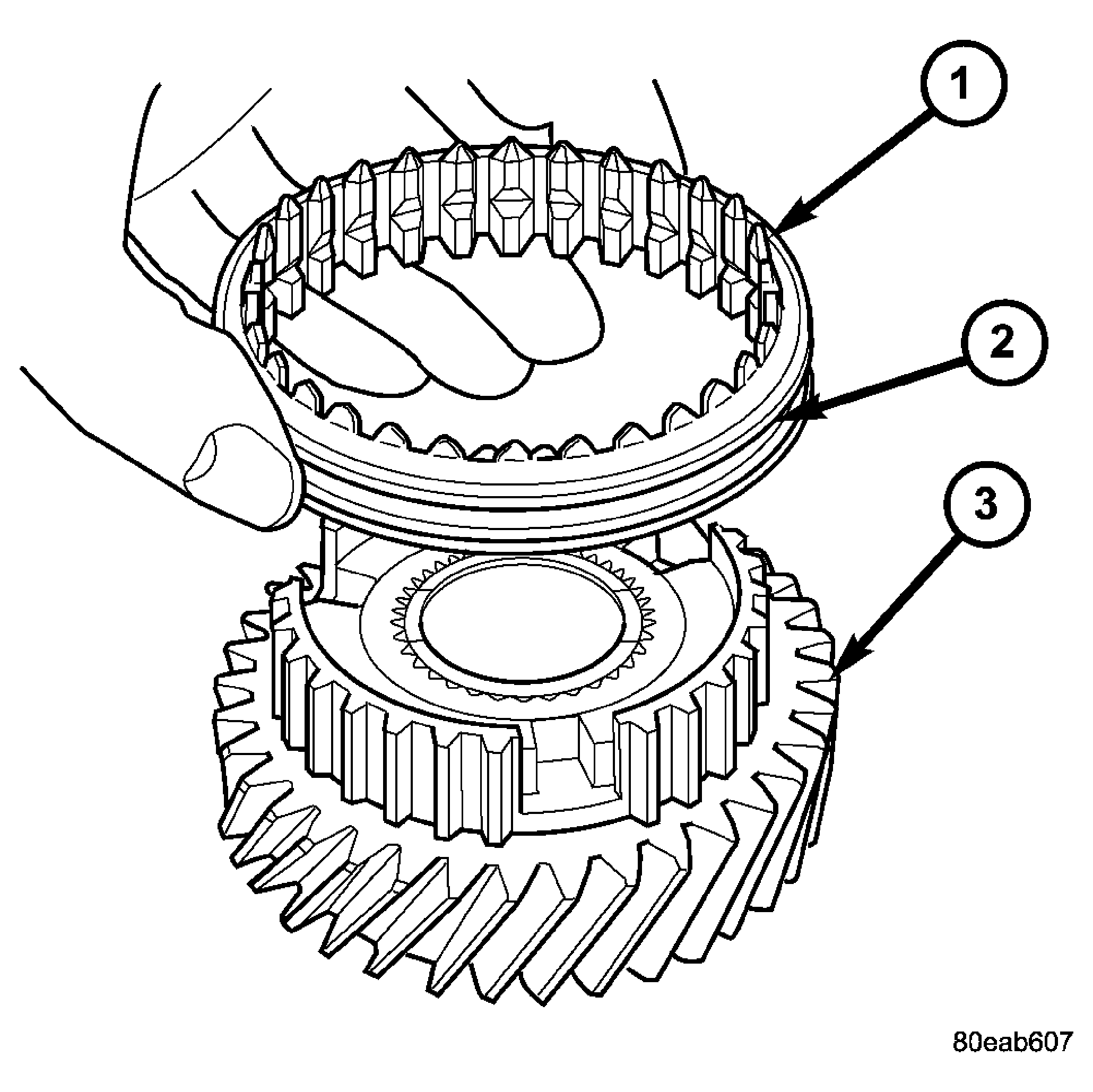 GC0022206
