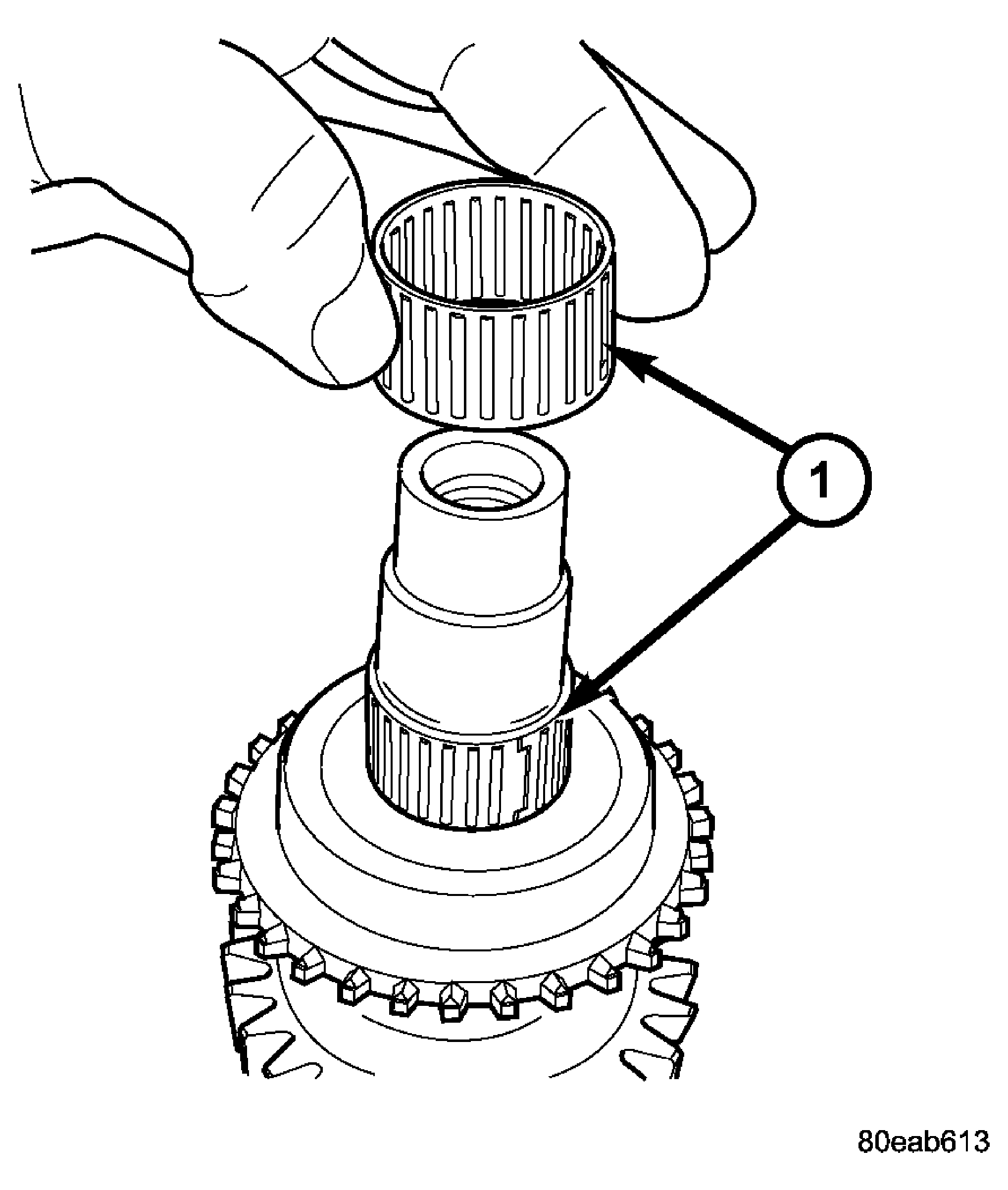 GC0022209