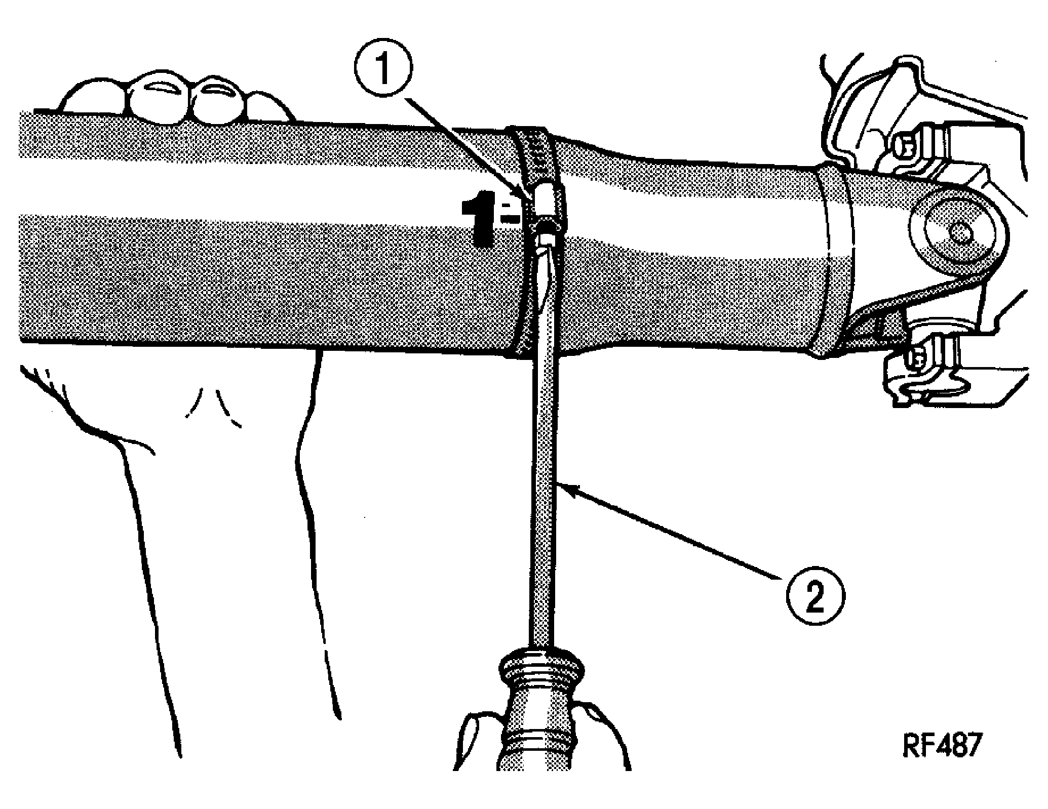 GC0024944