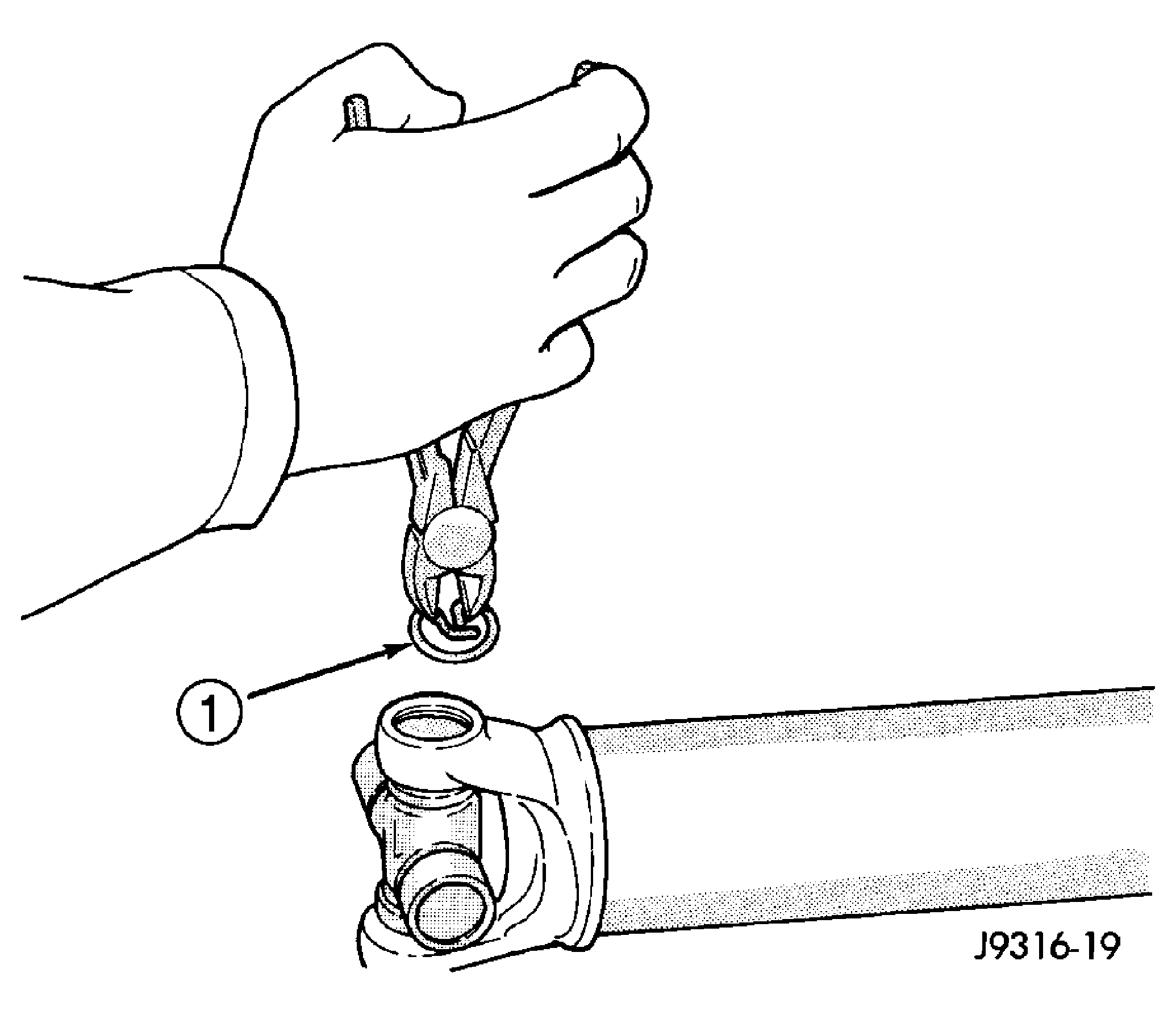 GC0024956