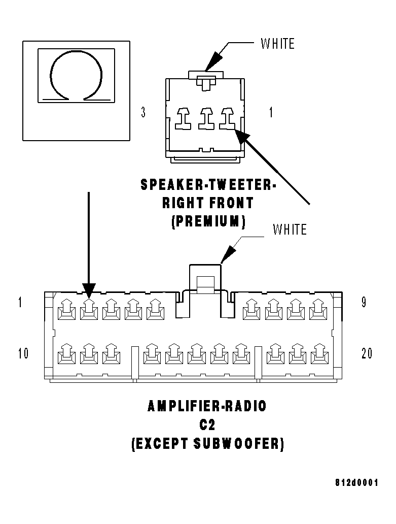 GC0028838