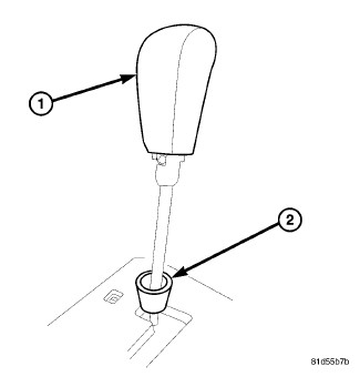 GC0081295