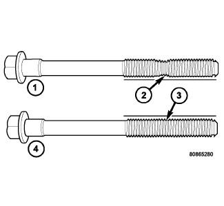 GC0081335