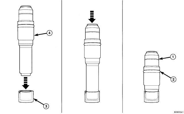 GC0081664