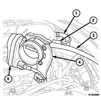 GC0081743