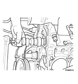 GC0081834