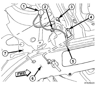 GC0082346