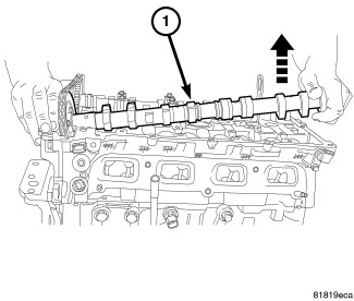 GC0082417