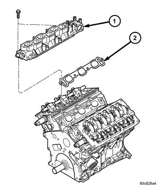 GC0095555