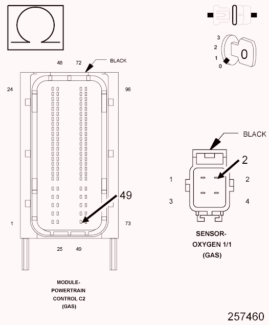 GC0099725