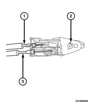 GC0155565