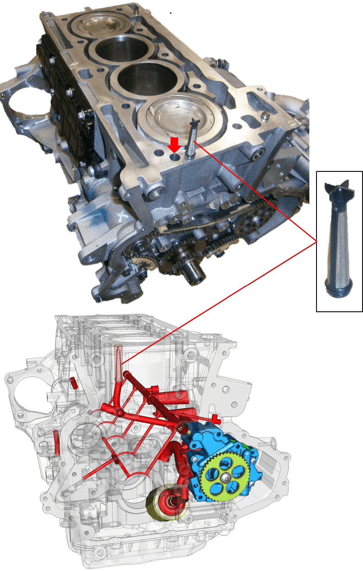 GC0182681