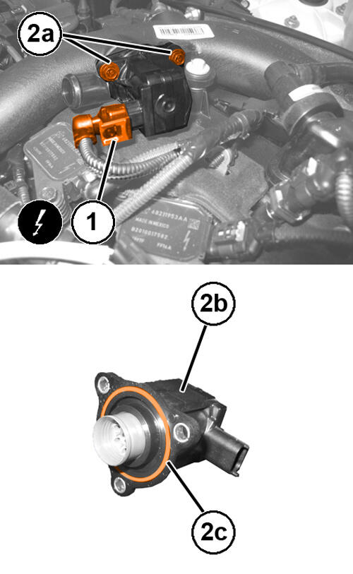 GC0186205