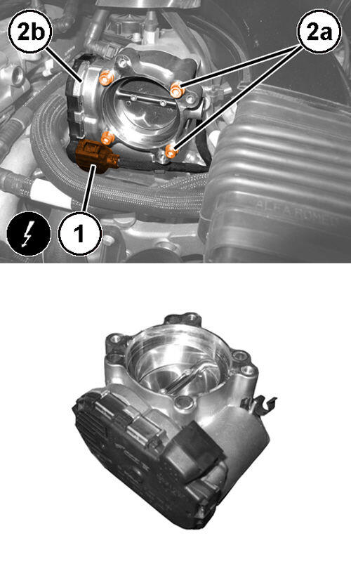 GC0193558