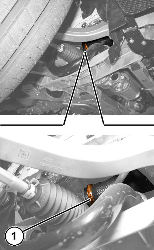 GC0194081