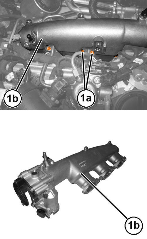 GC0195061