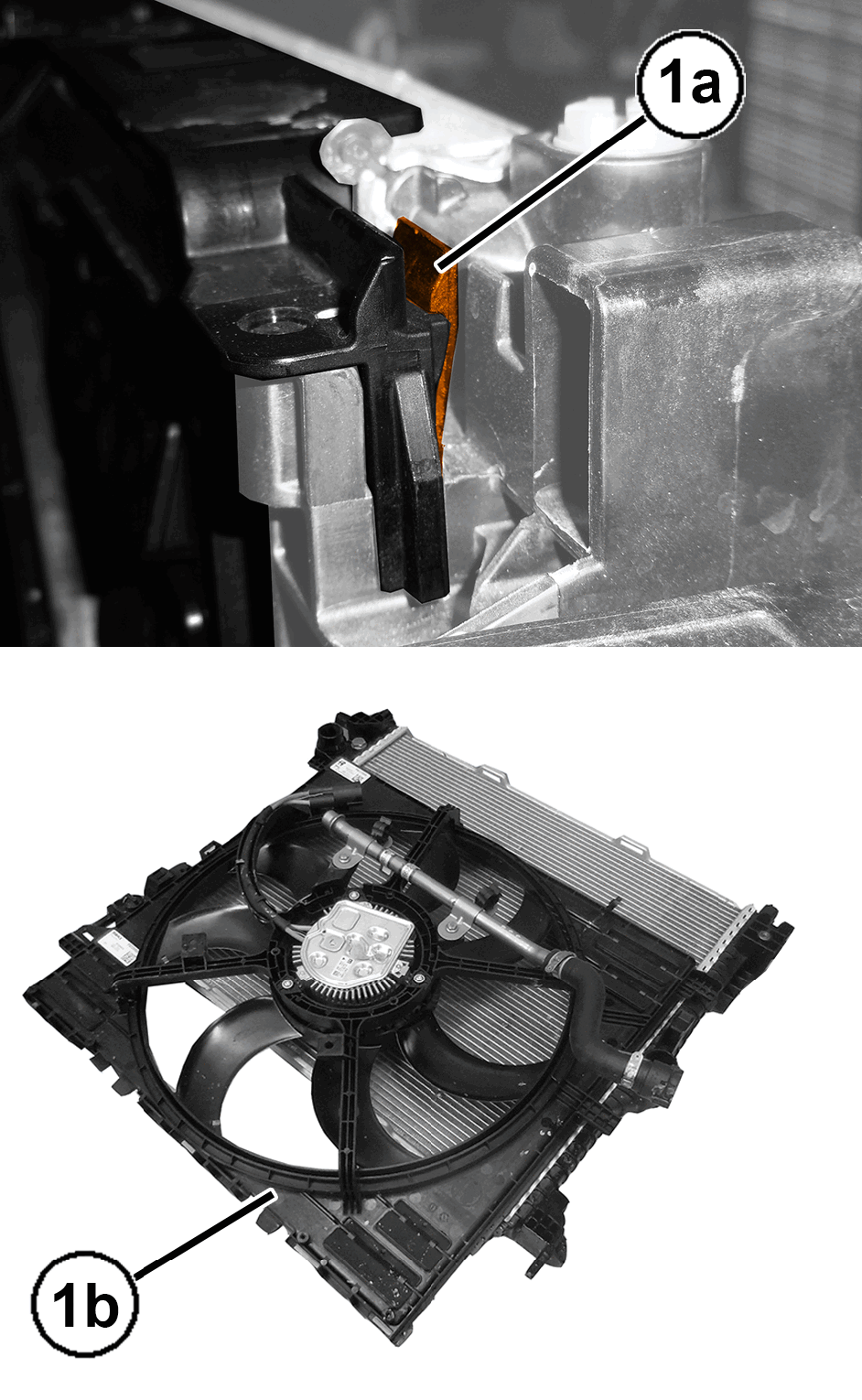 GC0195496