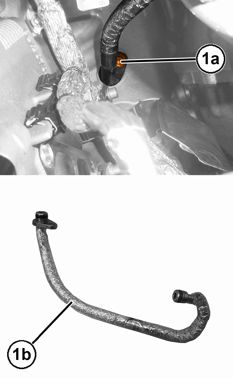 GC0195523