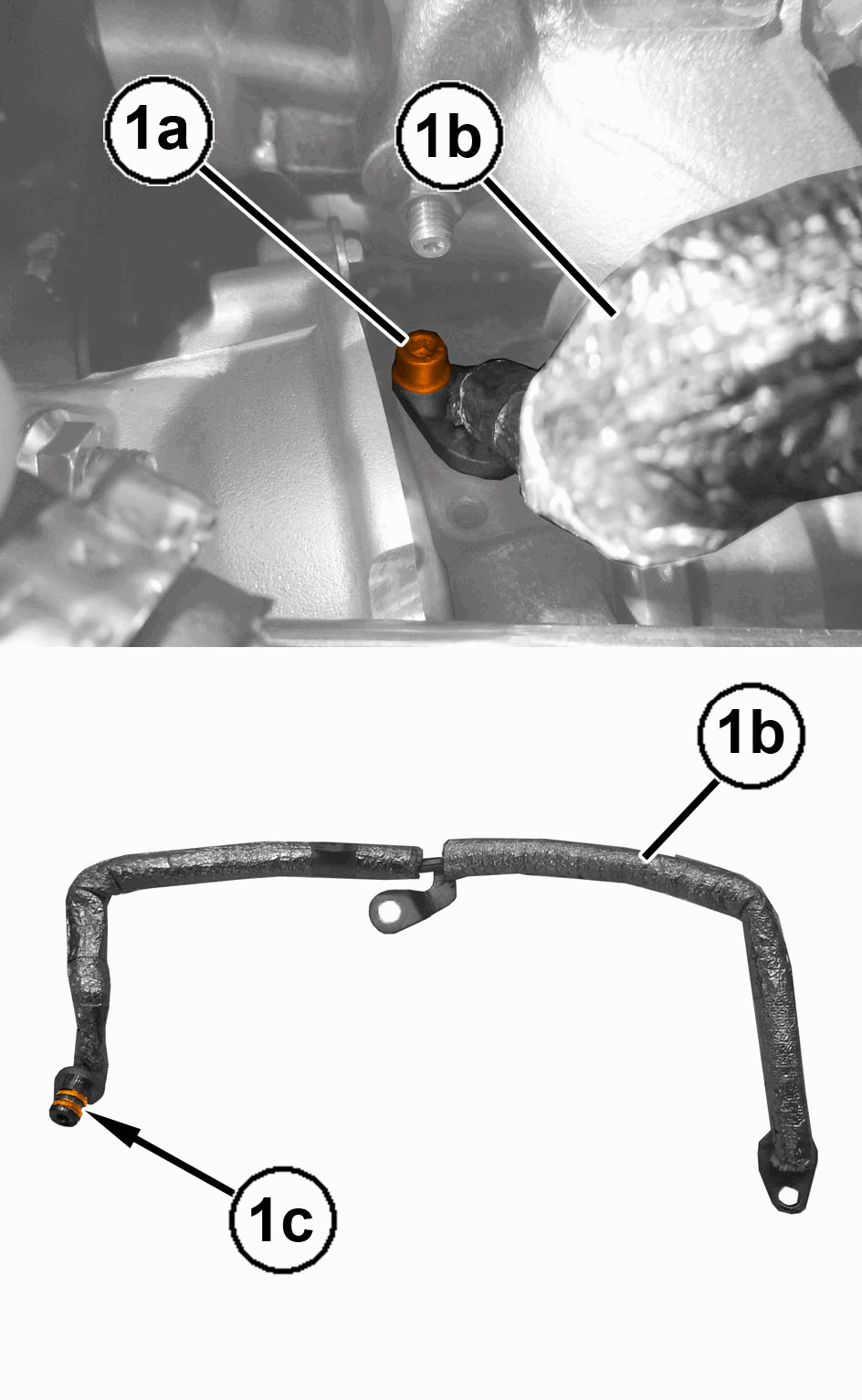GC0195570