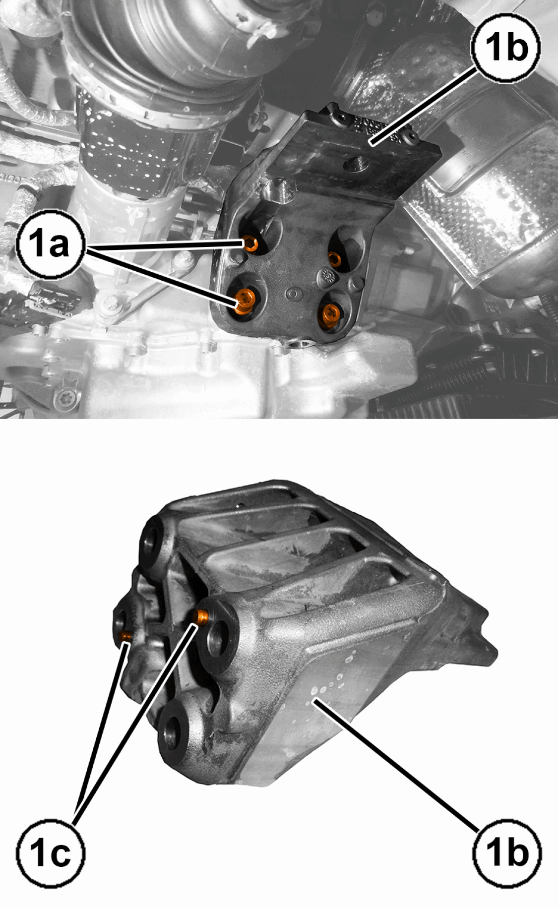 GC0195573
