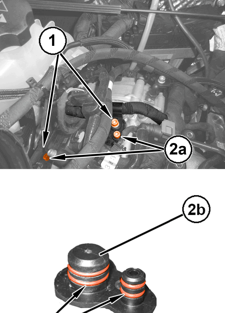 GC0195575