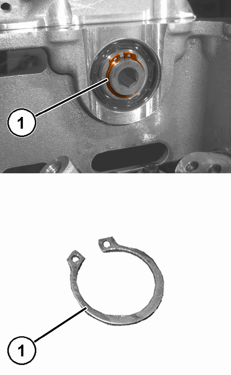 GC0195590
