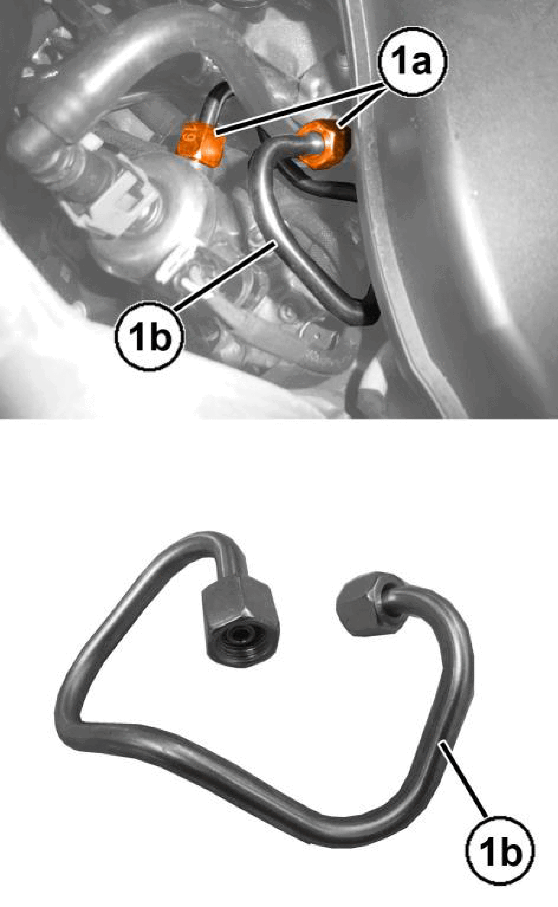 GC0195600