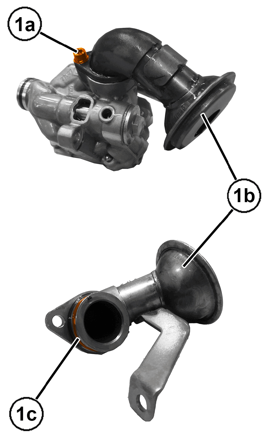 GC0195601