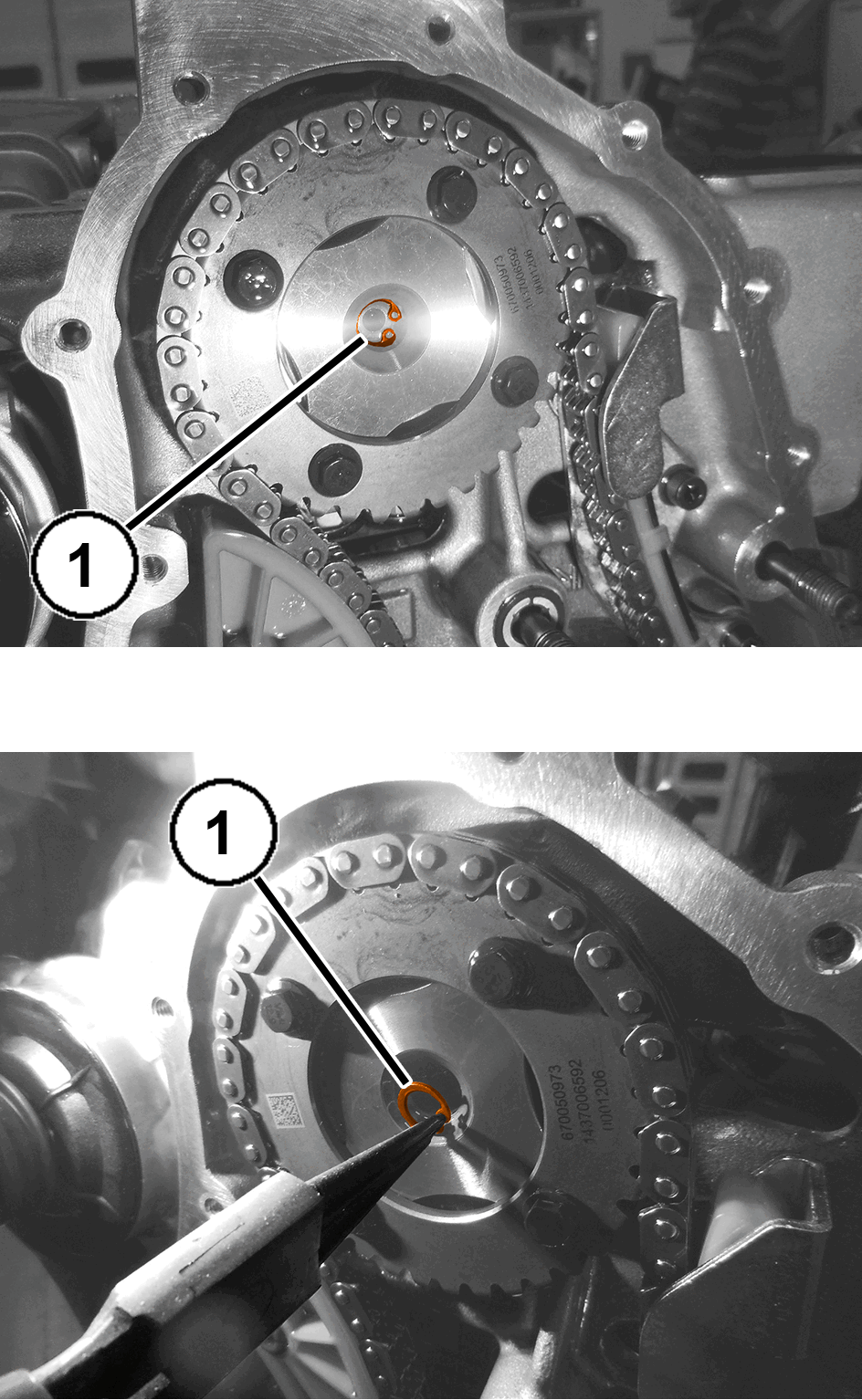 GC0195607